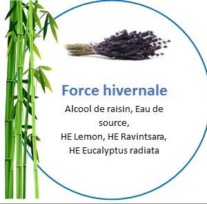 Elixir "Force hivernale"