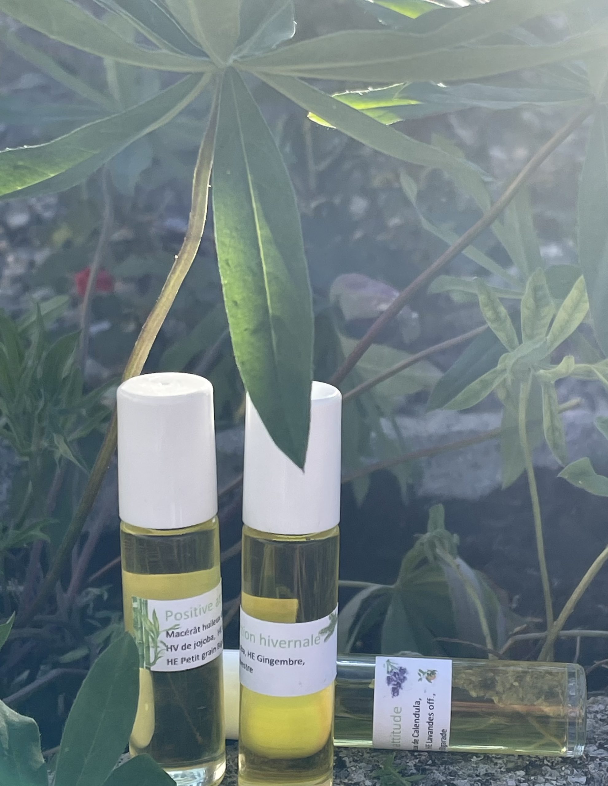 Roll-on Nativ' Collection
