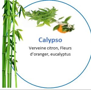 Tisane Calypso