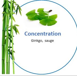 Tisane Concentration