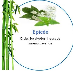 Tisane Epicée
