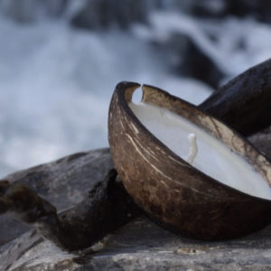 Bougie de massage - noix de coco - Nativ'