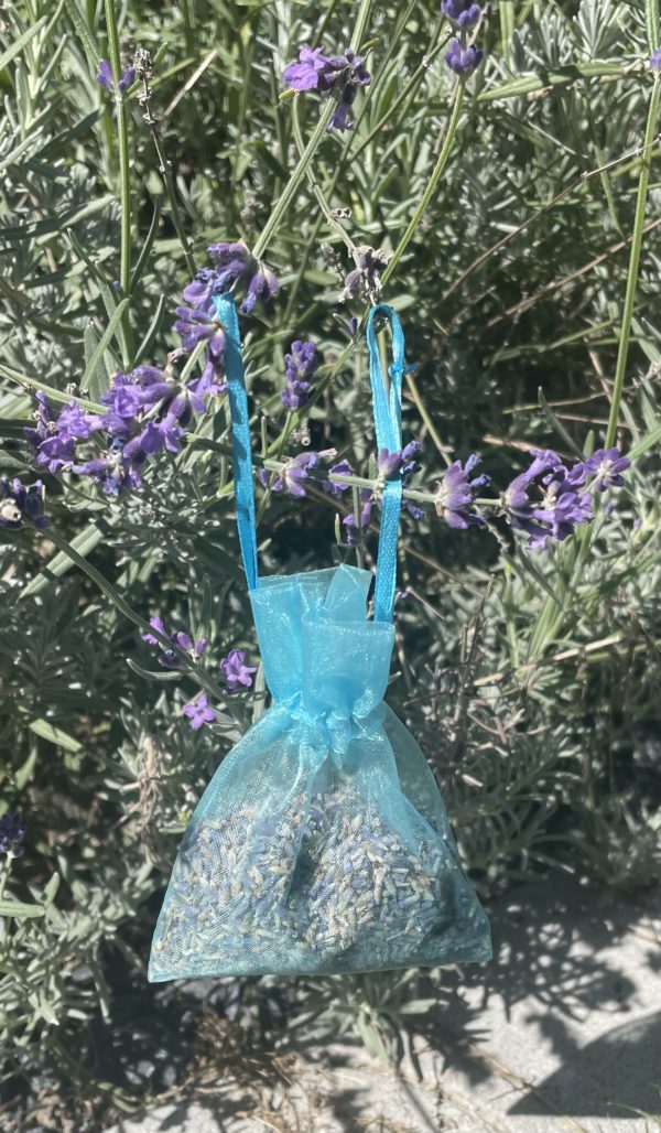 Sachet parfumé de lavandes Nativ'