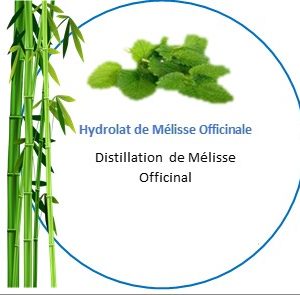 Hydrolat de Mélisse officinale