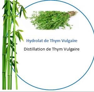 Hydrolat de Thym vulgaire